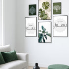 Botanical collection