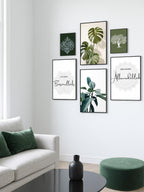Botanical collection