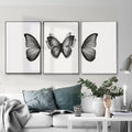 Black And White  butterfly